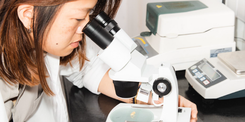 Leeds University and Entocycle reveal research program for commercialisation of UK insect farming