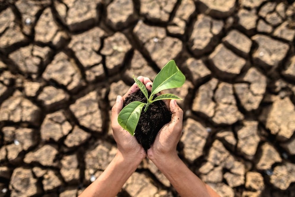 FAO and partners join forces to mitigate the impact of El Niño in the ASEAN region