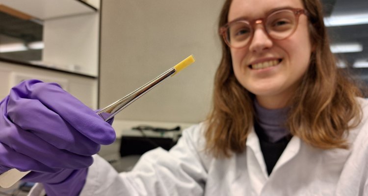 Researchers at Wageningen University creating sustainable plastic