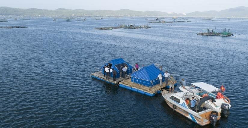 Vietnam deploys an innovative real-time sea-water monitoring system for aquaculture
