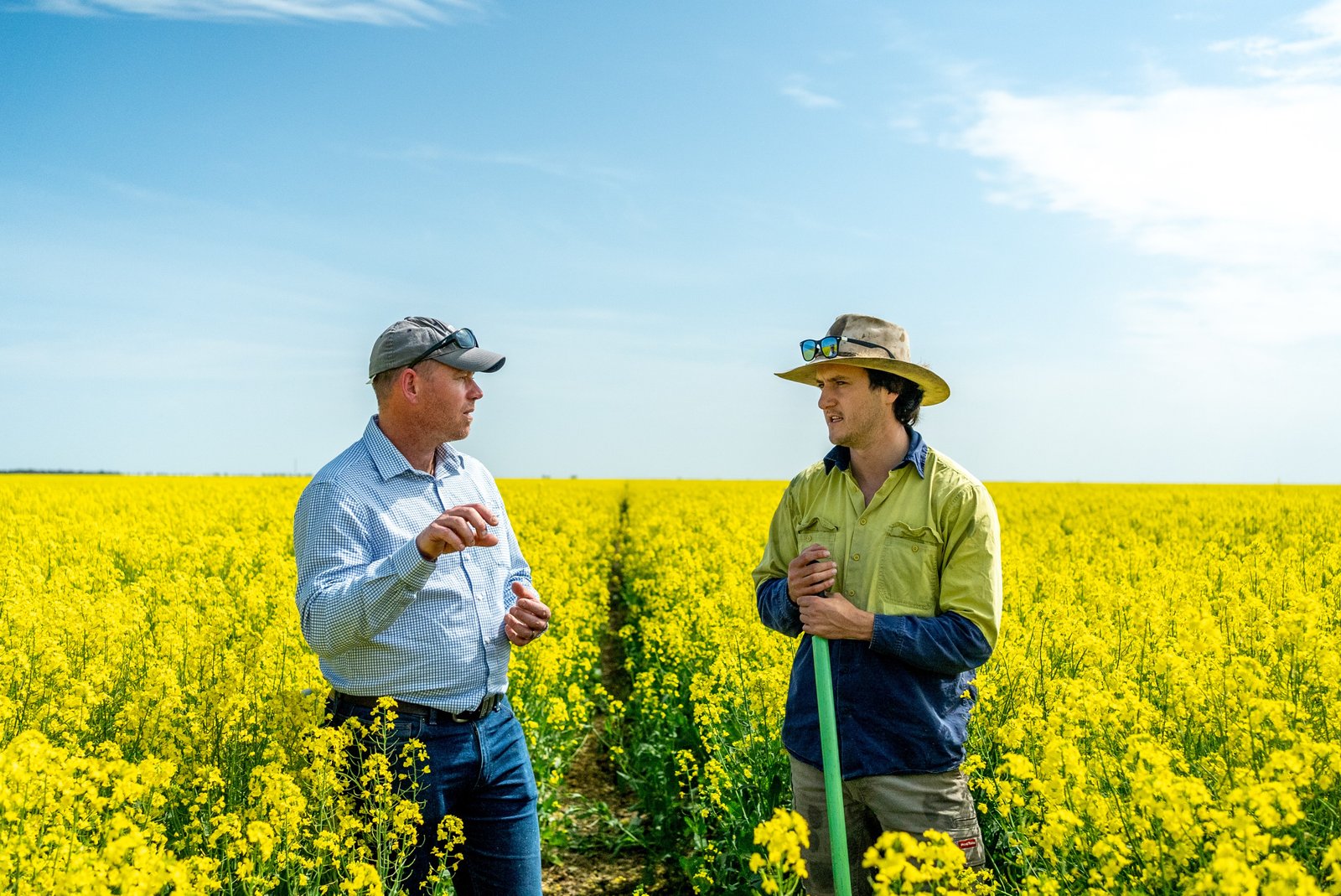 Cargill SustainConnect™ to open new revenue streams for Australian canola growers
