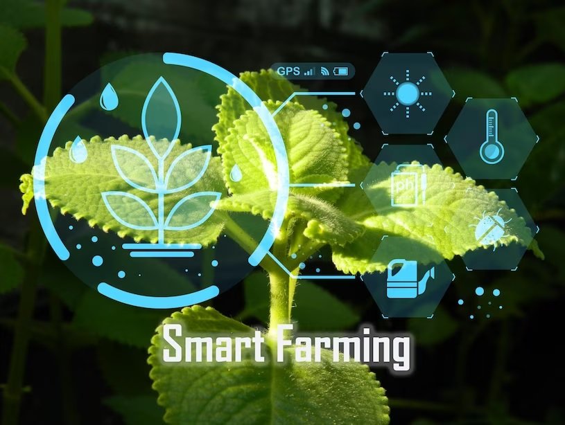 Australia grants two rounds funding worth $54 M for Climate-Smart Agriculture Program