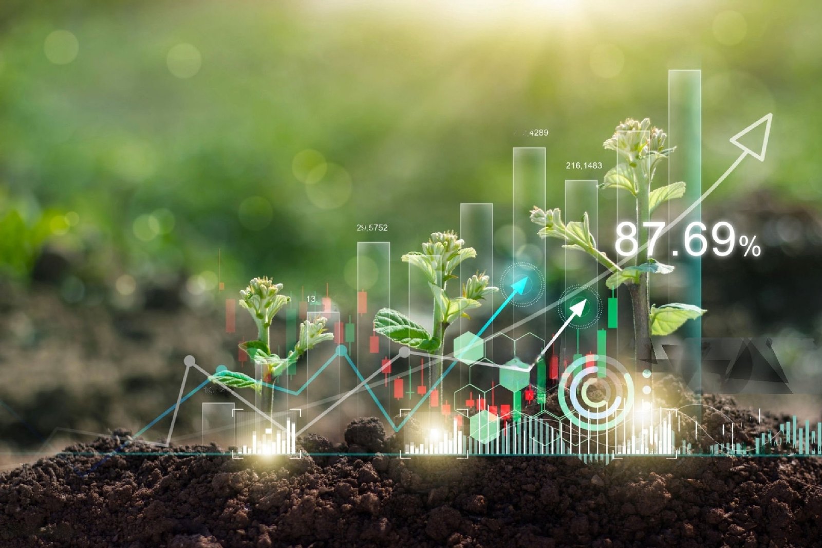 Vietnam identifies Philippines as high potential market for agri-exports