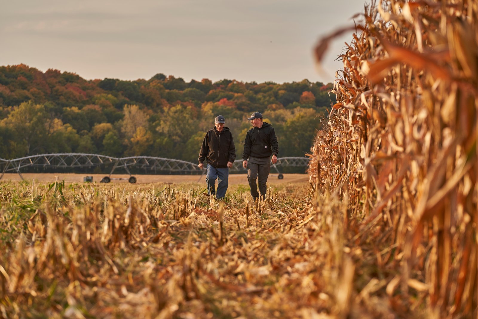 Cargill and Nestlé Purina partner on regenerative agriculture adoption to reduce carbon footprint of Purina dry pet food products