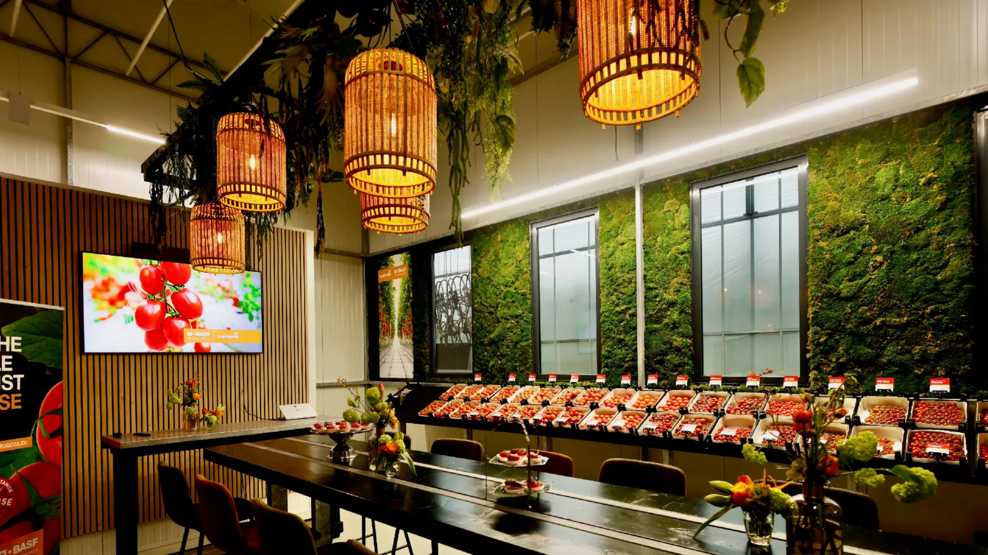 BASF and Nunhems opens Tomato experience Center in the Netherlands 