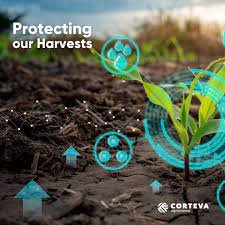Corteva Agriscience presents Hector®, the new herbicide for weed control in corn crops