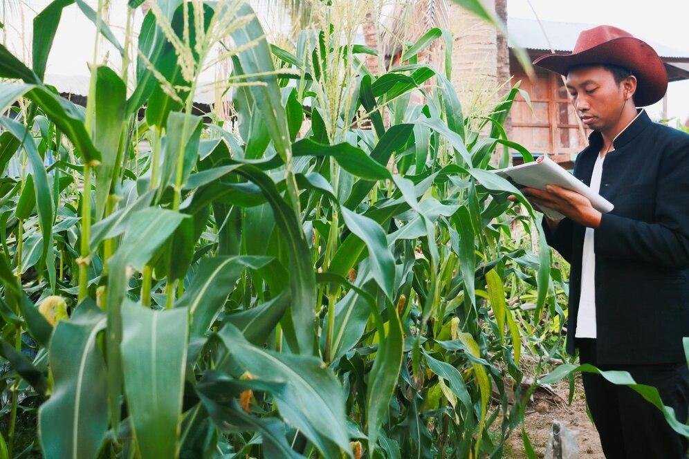Philippines to boost agriculture infrastructure projects explicitly in rice and corn production