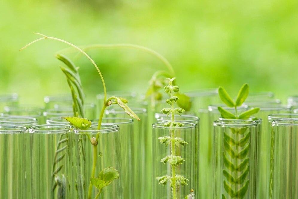 New Zealand Biostimulant company raises $1M to foster effective and sustainable farming