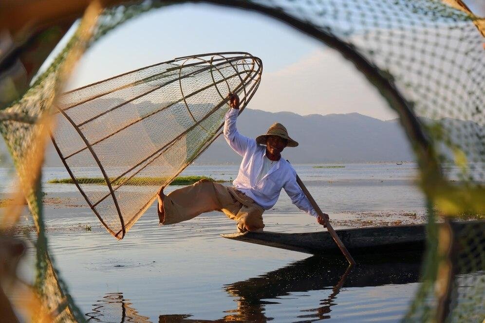 Vietnam’s aquatic product exports accomplish $4.36 B trade value by mid 2024