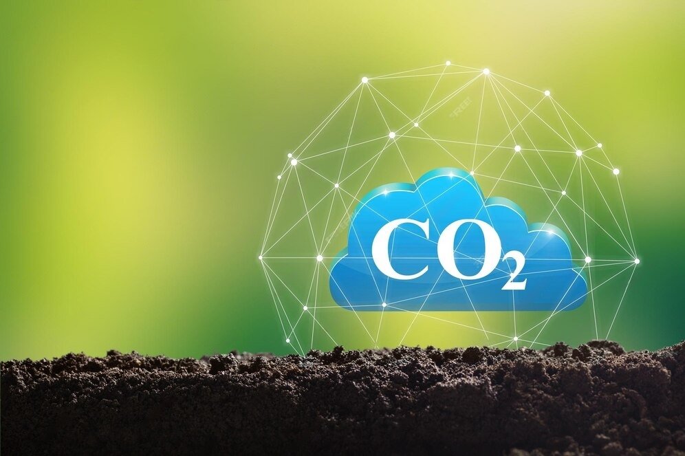 China advances carbon-sink trading to accelerate green transition