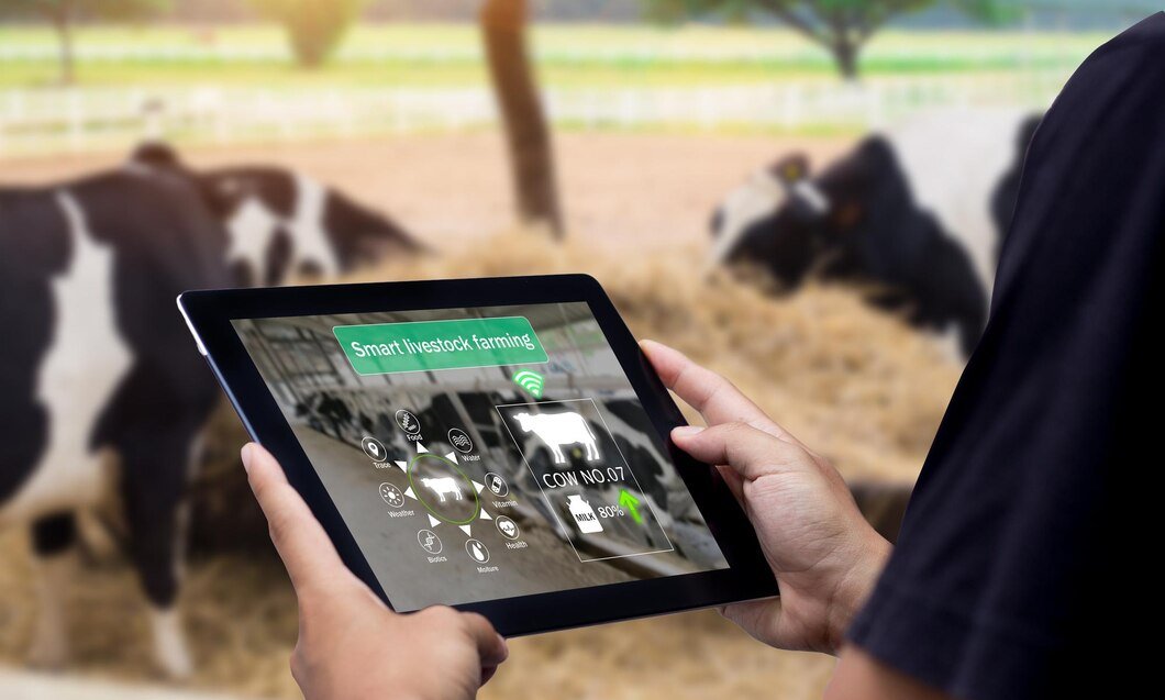 MSD Animal Health launches SenseHub™ Dairy Youngstock to monitor dairy farm