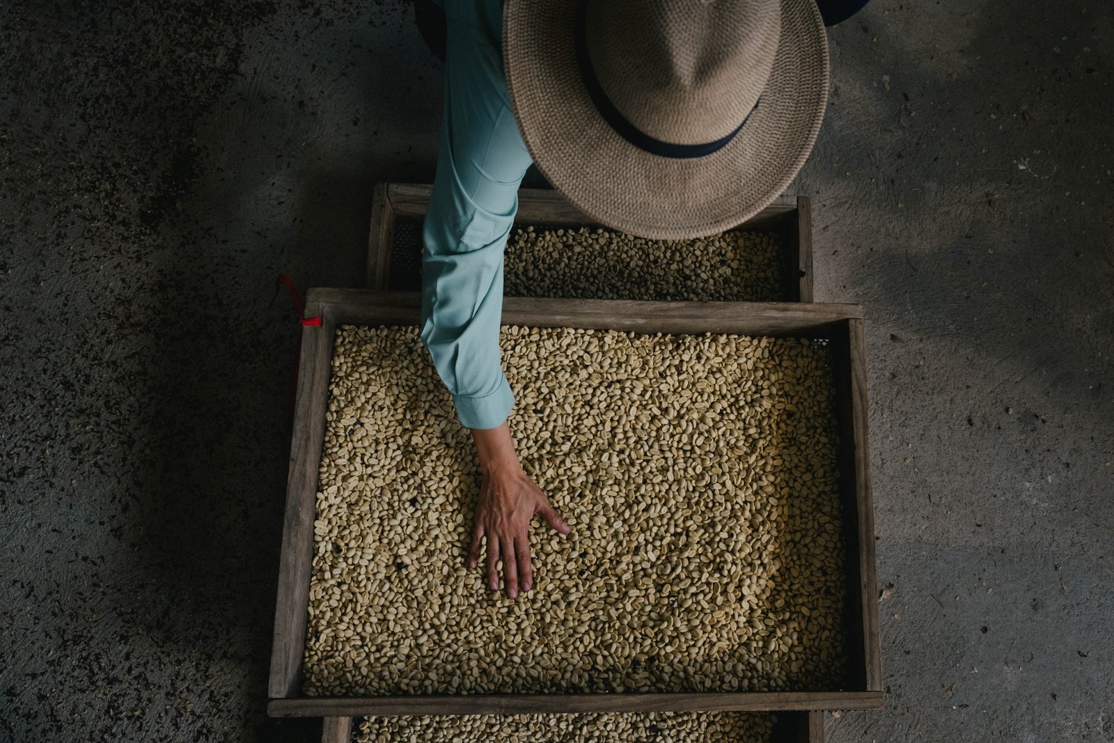 Starbucks expands global efforts to protect the future of Coffee with two new Coffee farms