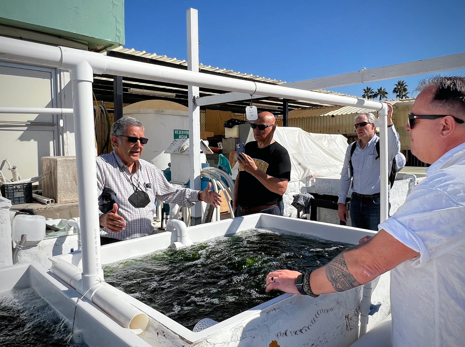 Blue Evolution &amp; Māori Iwi Join Forces to Scale Regenerative Seaweed Farming in Aotearoa New Zealand