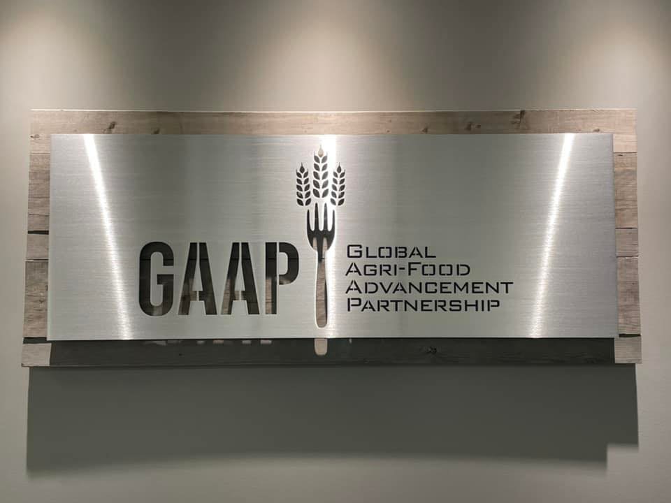 Global Agri-Food Advancement Partnership (GAAP) invests in ERGO, a startup developing plant-based proteins