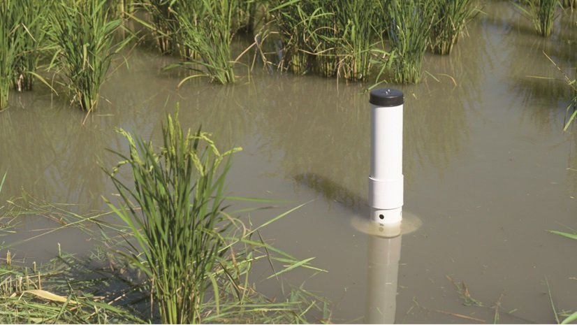 South Korea's Greenery boosts innovative solutions for low-carbon agriculture