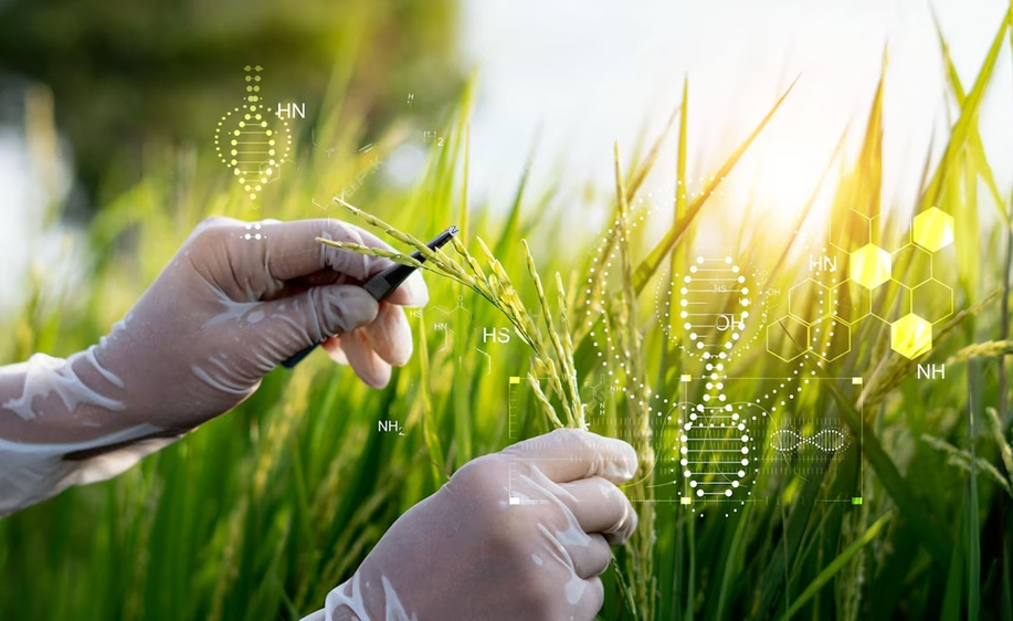 ERS Genomics launches ‘Express License’ platform to democratise access to CRISPR/Cas9 