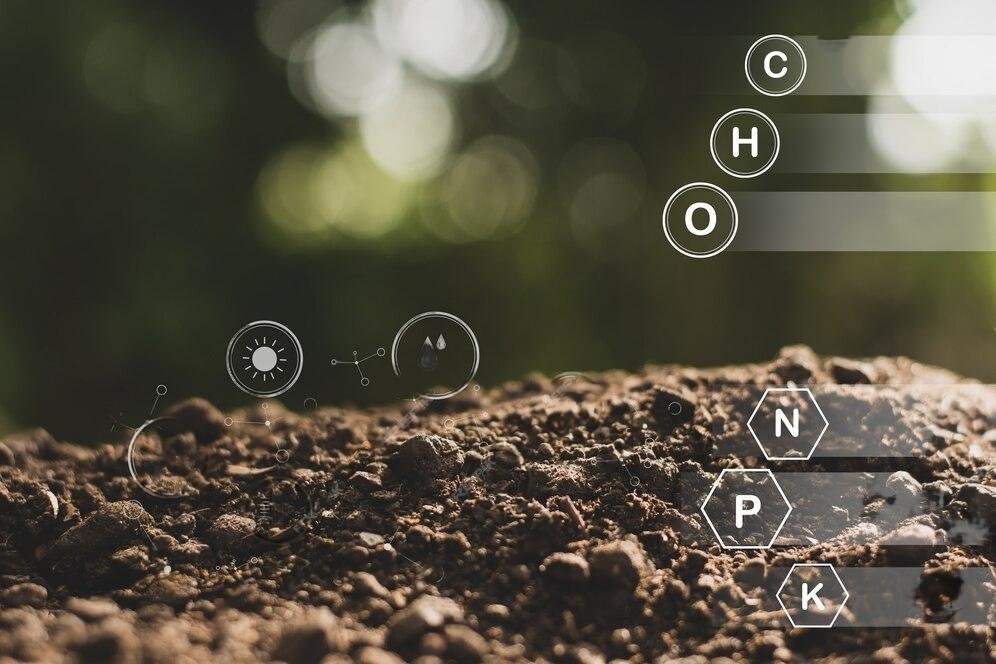 Australia invests $2.34M to map the state's carbon-rich soil to boost sustainable agriculture