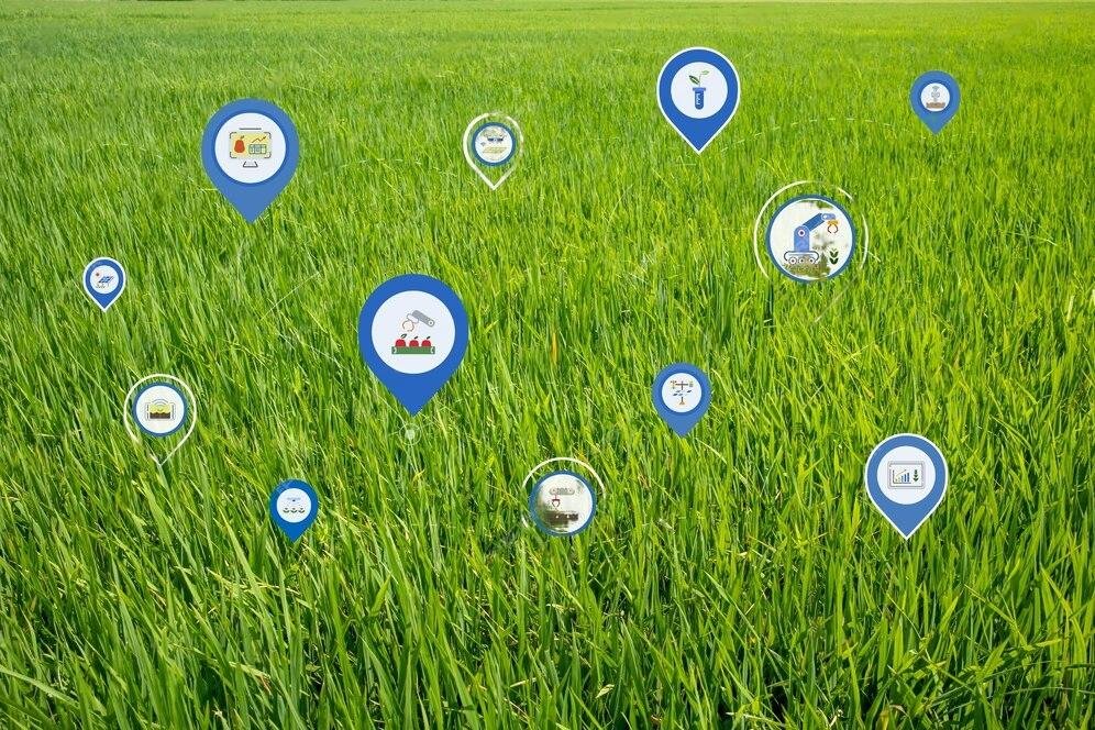 Philippines expands rice distribution network to counter unreasonable prices