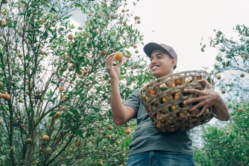 Bayer and Pula Foundation partner up to insure 10 million smallholder farmers in Sub-Saharan Africa and South Asia