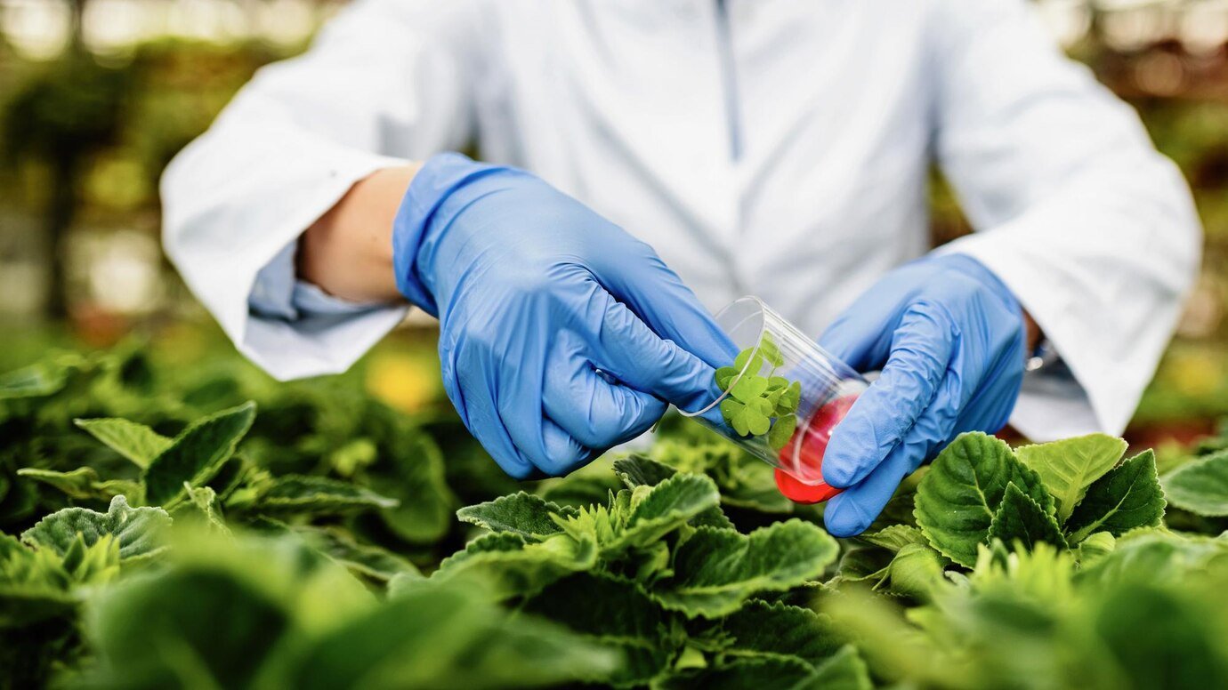 Australia to invest $13 M to support access to  agricultural and veterinary chemicals
