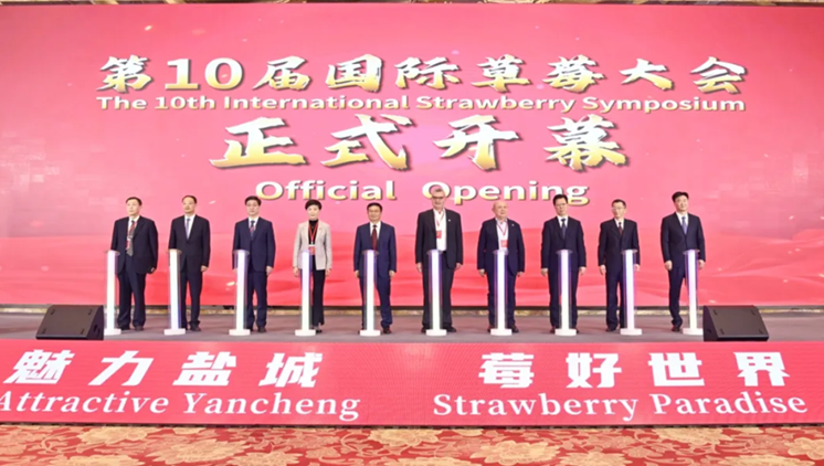 "International Advanced Technology Application and Promotion Center for Strawberries" inaugurated in Yangcheng, Jiangsu Province, China