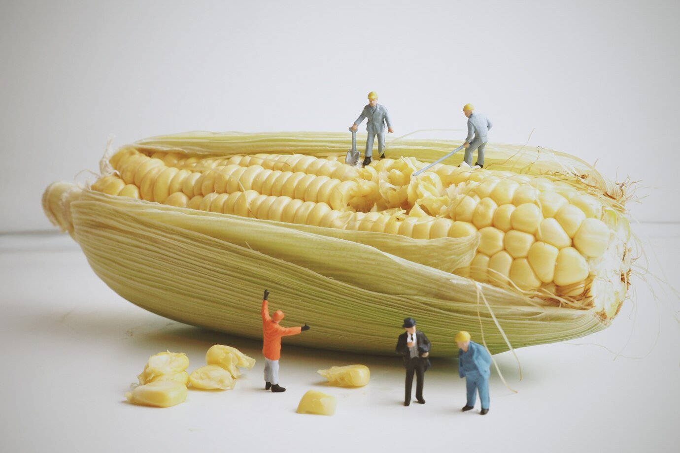 Nisun International Signs $50 Million Corn Supply Agreement with Sichuan Yingdafeng Agricultural Technology Co., Ltd.