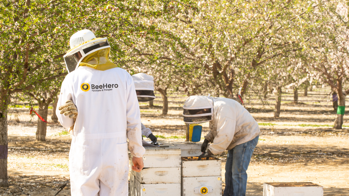 BeeHero unveils innovative task manager tool to enhance apiary operations