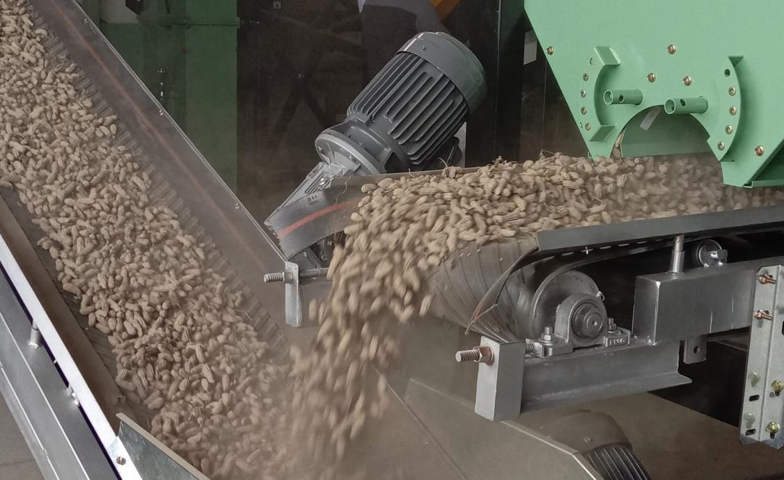 Taiwan promotes a domestic peanut drying center to demonstrate new integrated processing methods
