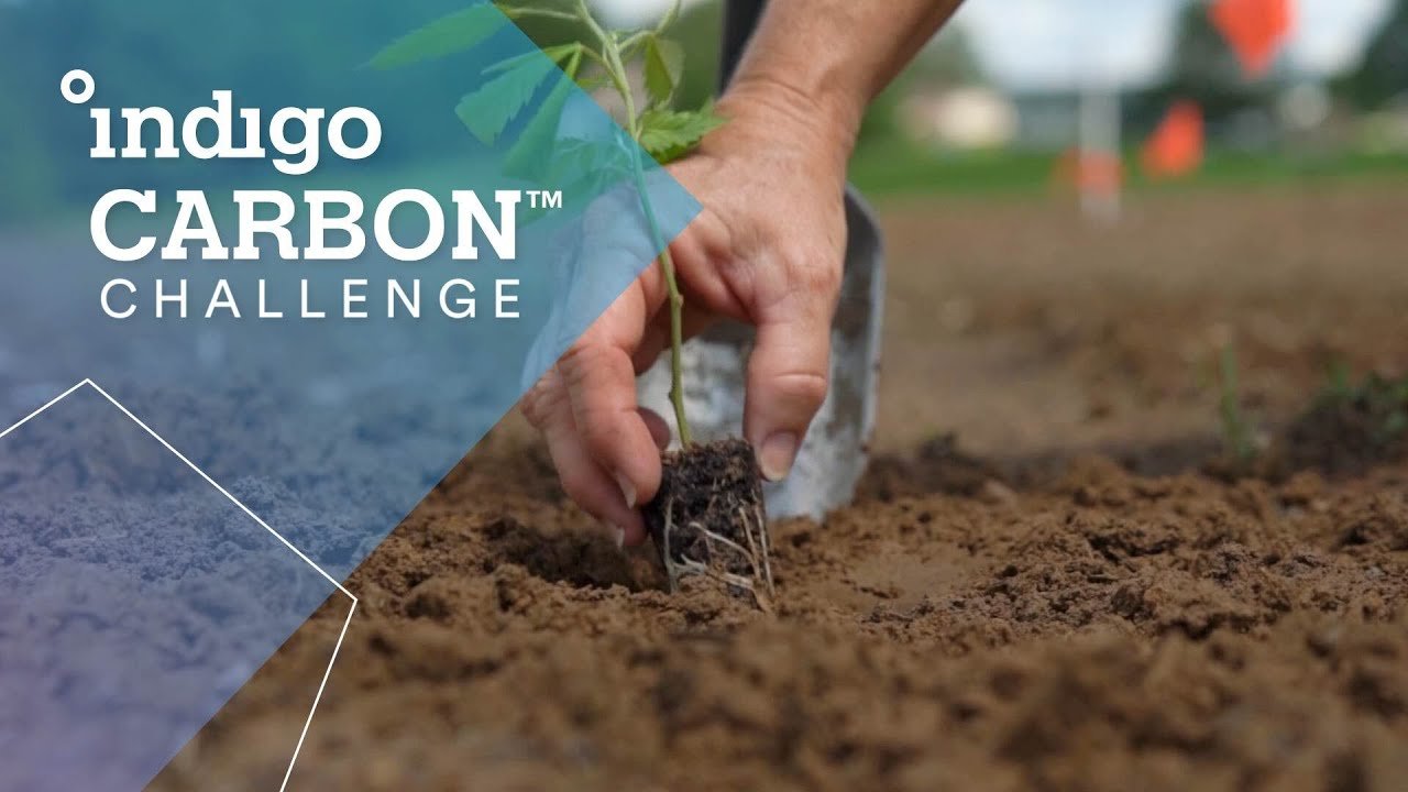 Microsoft and Indigo deepen collaboration to accelerate soil carbon sequestration