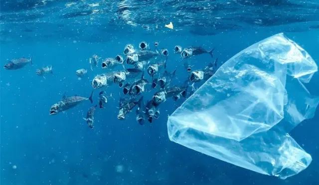 Public Development Banks unveil Clean Oceans Initiative 2.0