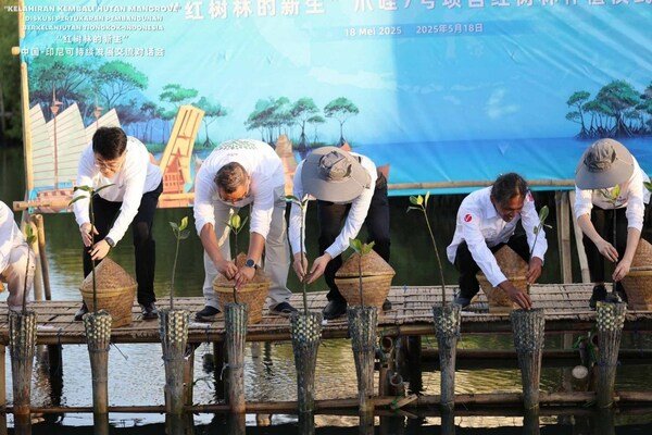 China-Indonesia partners for mangrove protection initiative through think tank-level analysis