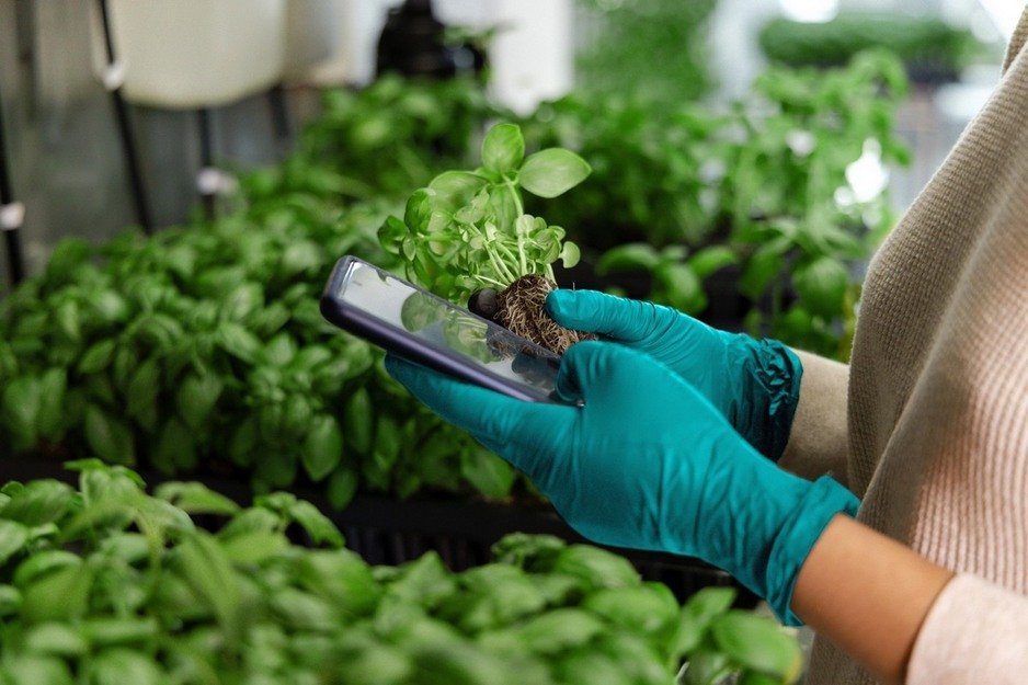 Square Roots Japan launches R&amp;D hub "Agri Tech Lab Tokyo"