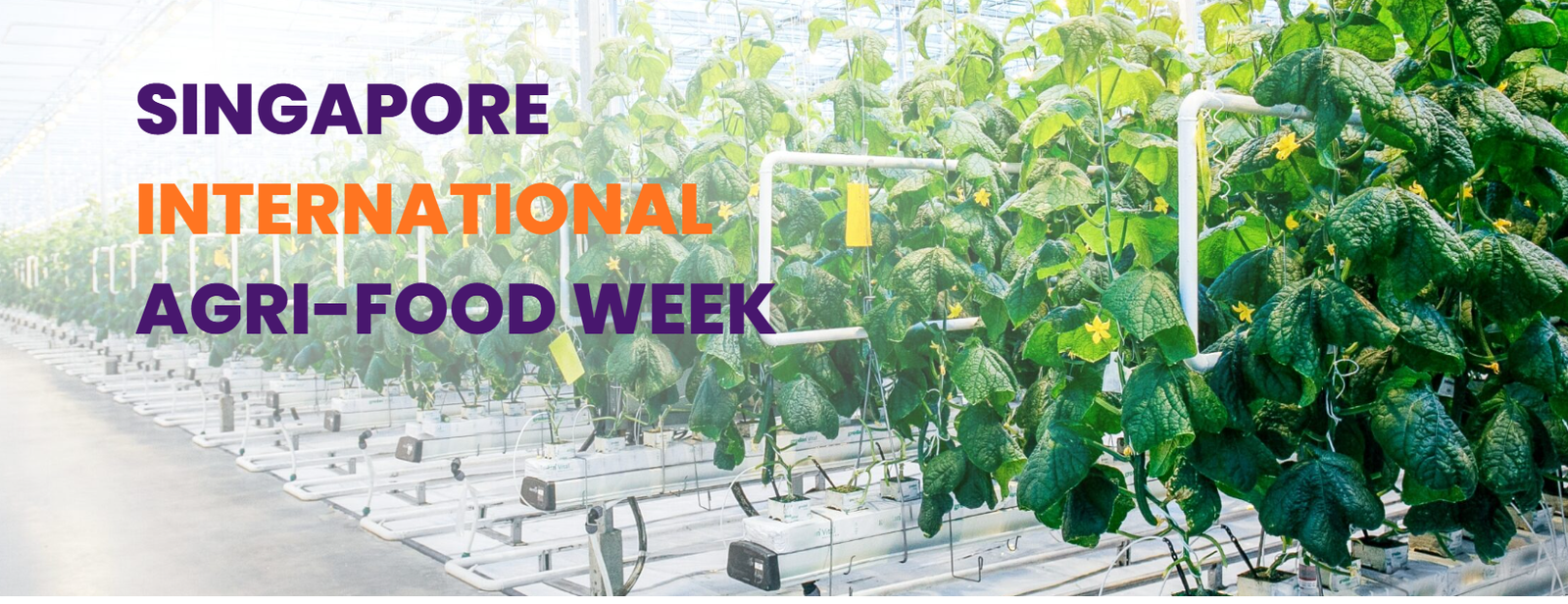 Singapore International Agri-Food Week 2025: Striving for sustainable and resilient food systems in the Asia Pacific