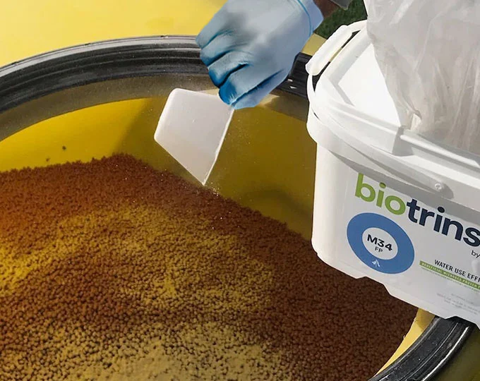 Indigo Ag introduces Biotrinsic®, new biological bionematicide against soybean cyst nematode