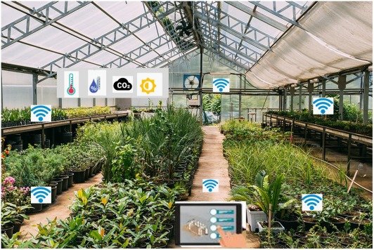 Smart Power fuels precision agriculture boom in Ningxia’s greenhouse economy