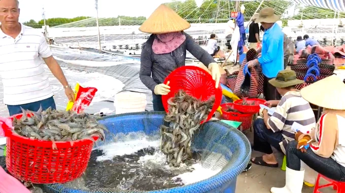 World Bank, Nghe An advance $19 Mn fisheries project to modernize coastal economy