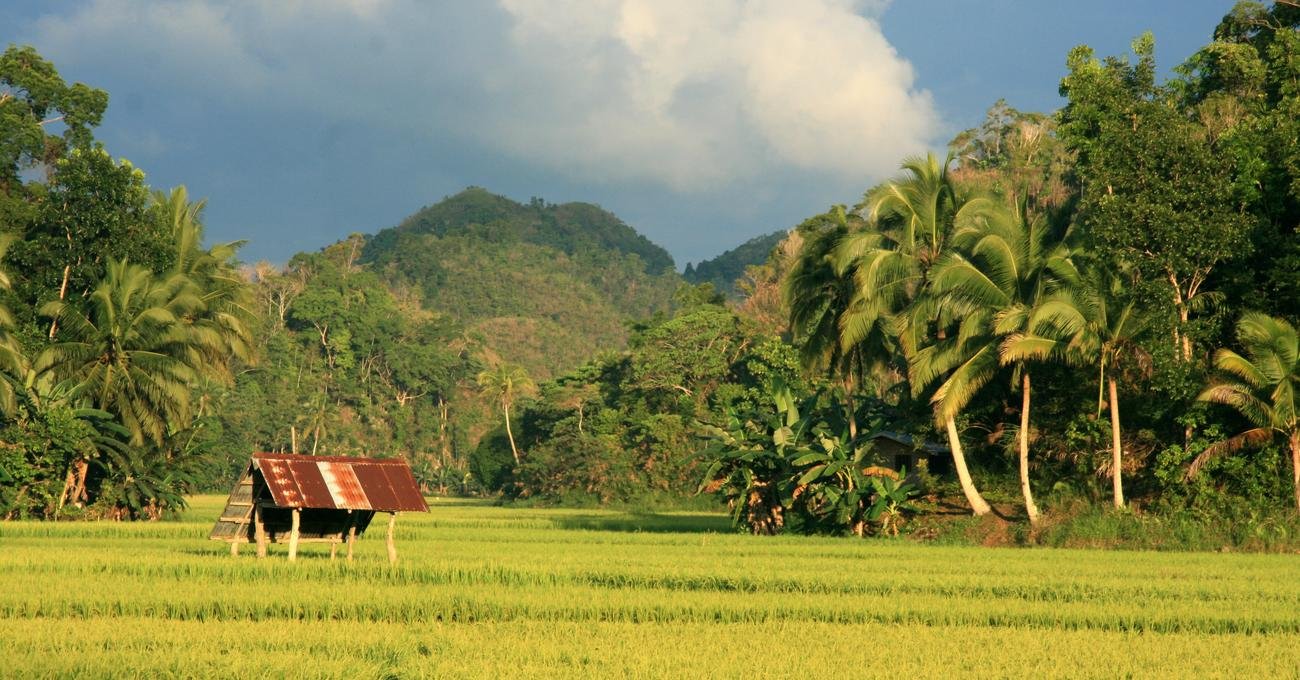 Philippines braces for another El Niño hit