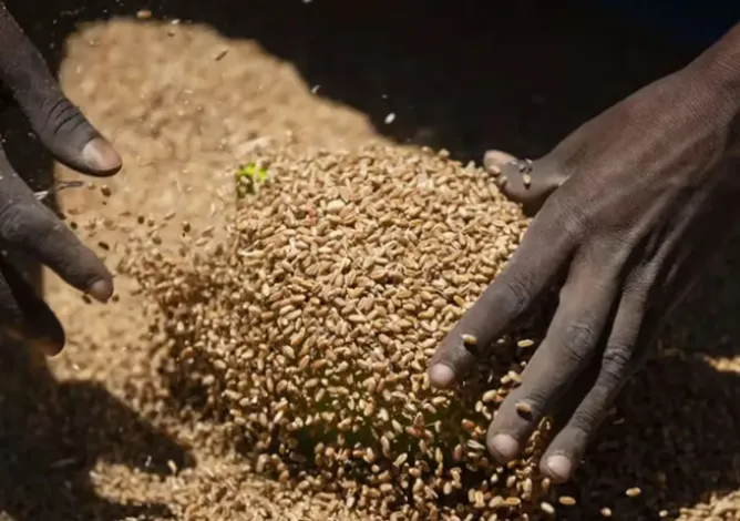 New report urges urgent, coordinated financing to reverse rising hunger and transform agrifood systems across Africa