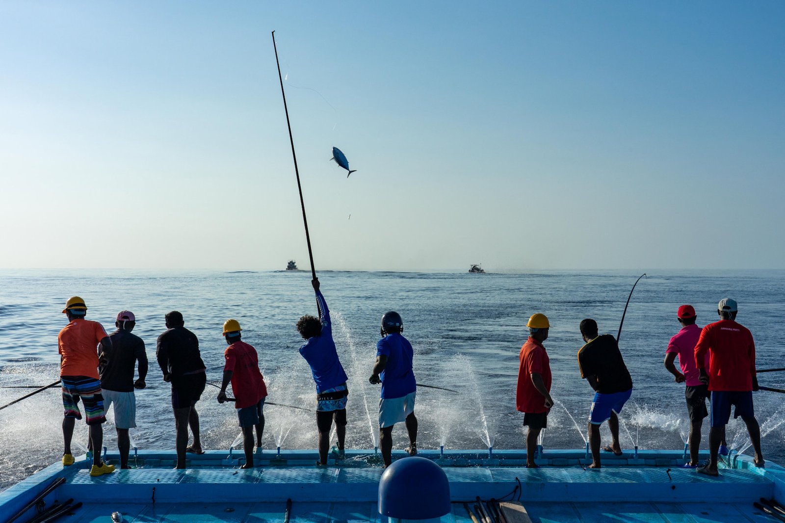 Fair Trade certified Tuna Program aims to strengthen Maldives Blue Economy