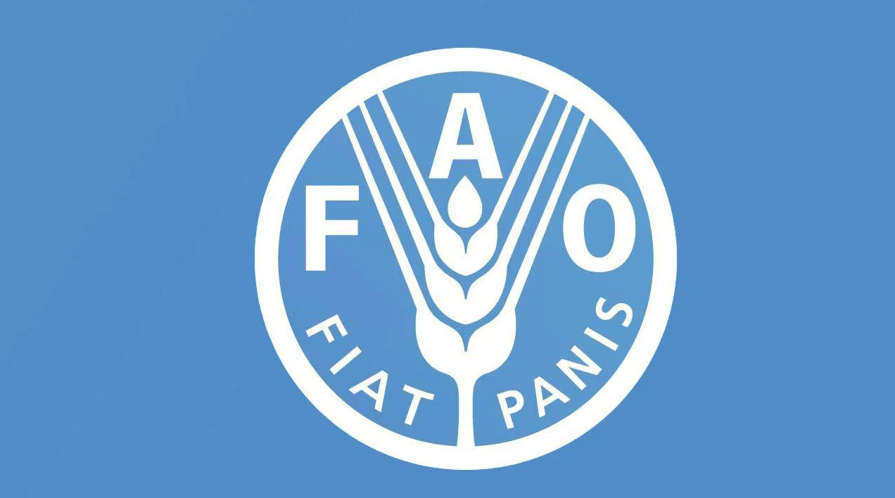 Conflict in near East region adds pressure on fragile agrifood systems, FAO Director-General warns