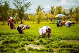 Philippines resets import quotas amid rising costs