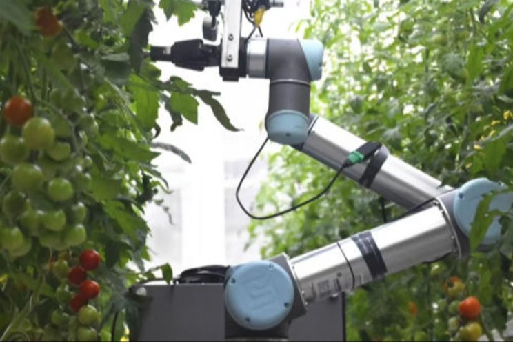GEAIR Breeding Robot automates pollination inside high-tech greenhouses