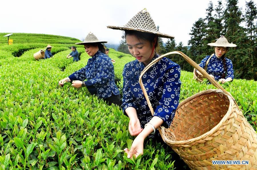 China’s rural development accelerates with clusters, parks, and rising consumption