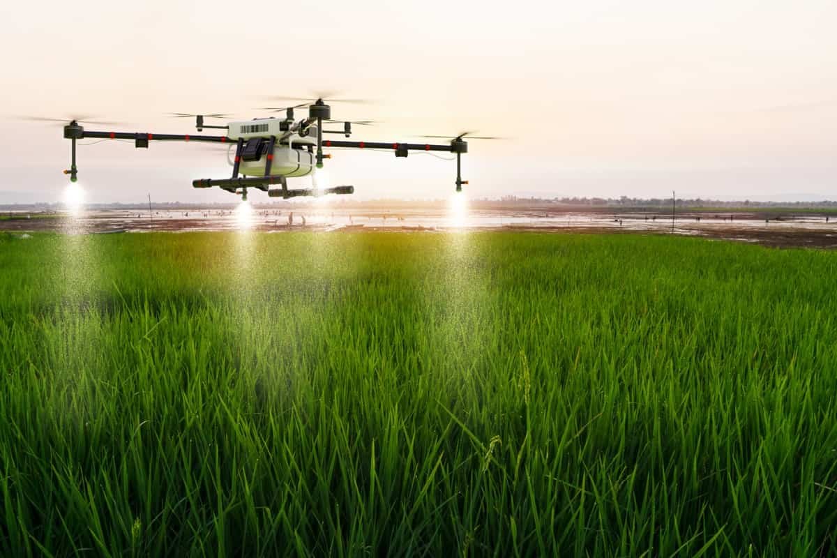 China bets on open-source AI to solve agriculture’s pest and pesticide crisis