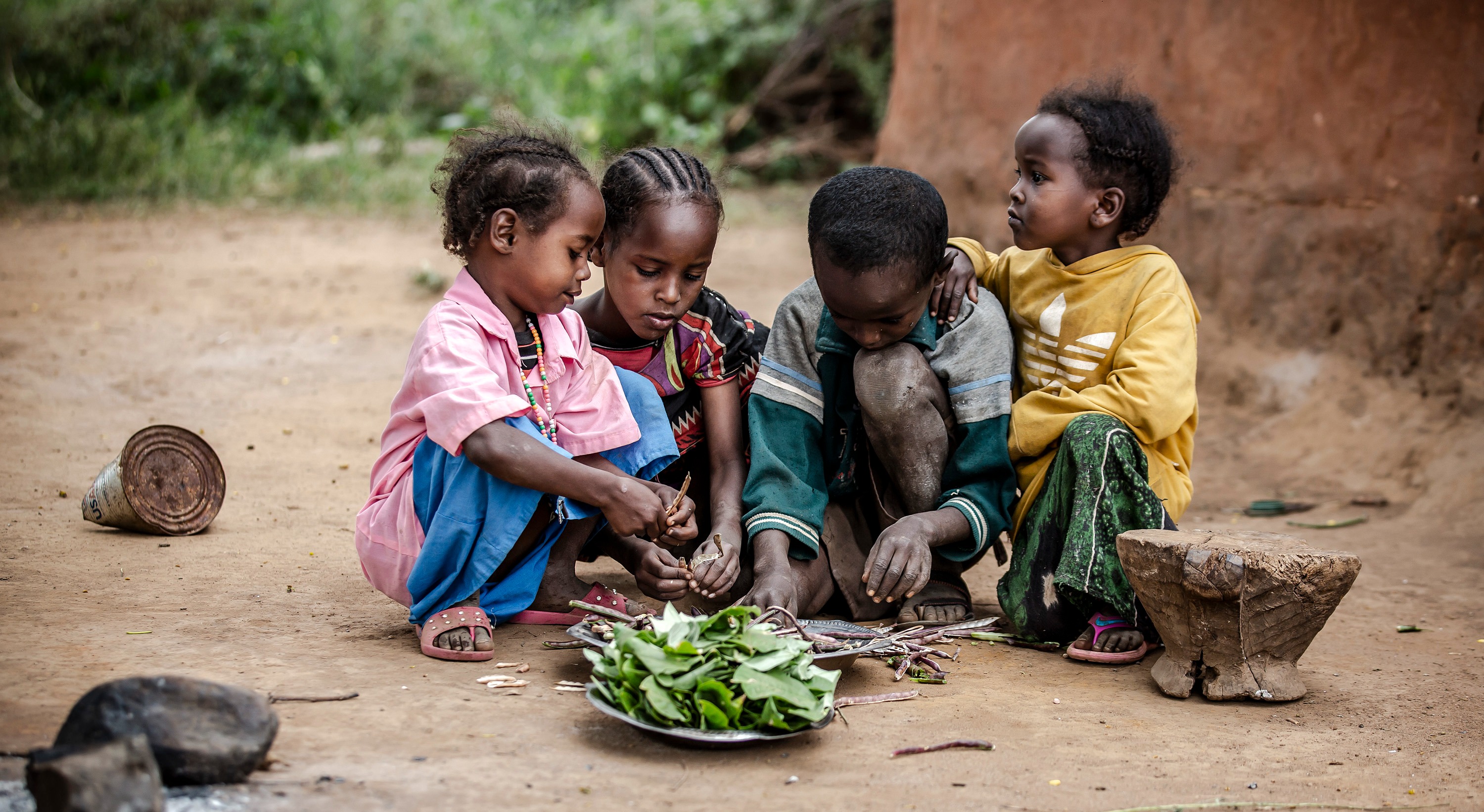 Africa unveils new food systems alliance as continent confronts rising nutrition and health crisis