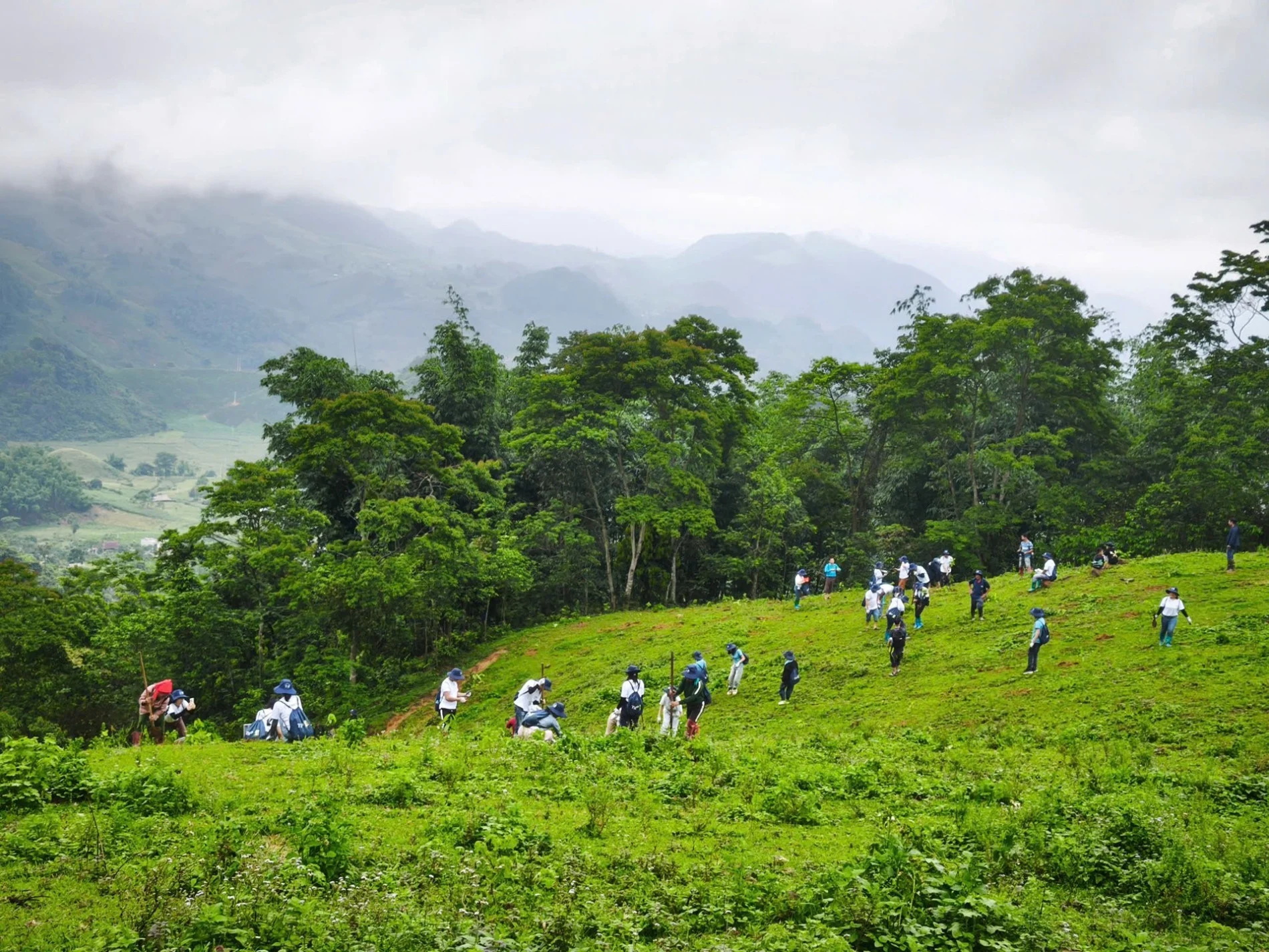 Son La launches forest carbon development project with international partners