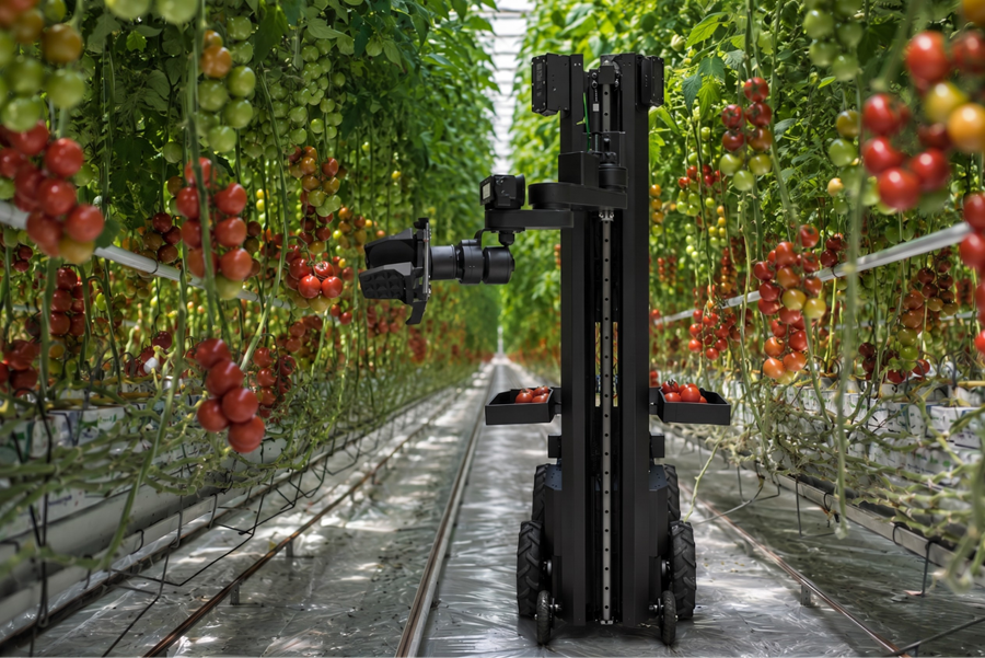 Egrobots Launches Egypt’s First Locally Developed Autonomous Agricultural Harvesting Robot