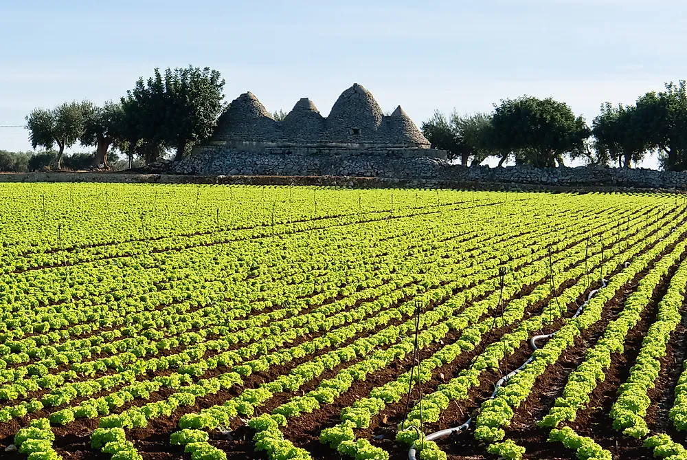 EIB and BNP Paribas unlock €200 Mn to expand Agricultural and Bioeconomy Finance for EU SMEs