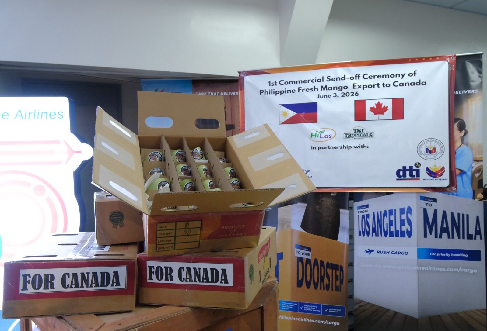 Philippine mangoes reach Toronto as Manila accelerates global export expansion