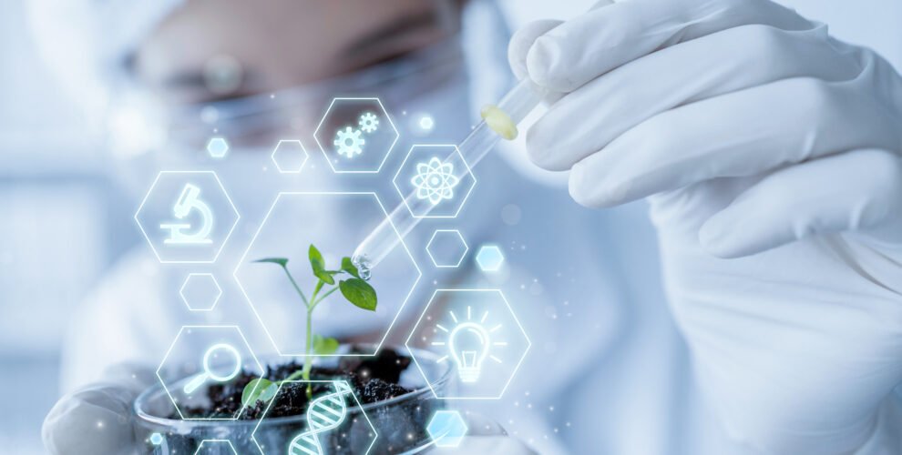 Chinese agrochemical innovation delivers breakthrough against devastating cabbage disease